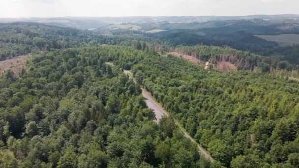 Bird Eye View Shows Entire Landscape Huge Pine Forests Form — kuvapankkivideo
