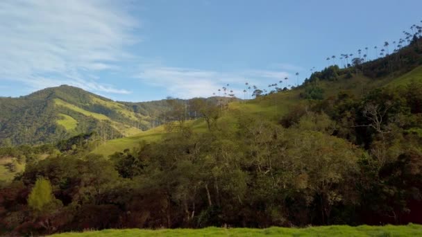 Panning Shot Coffee Area Landscape Colombia Mesmerizing Beauty Nature Seen — стоковое видео