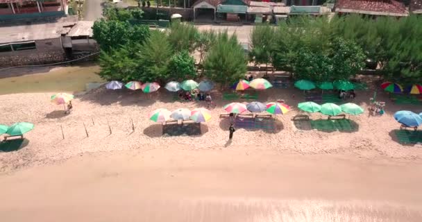 Tropical Beach White Sand Trees Siung Beach Yogyakarta Indonesia Must — Stock video