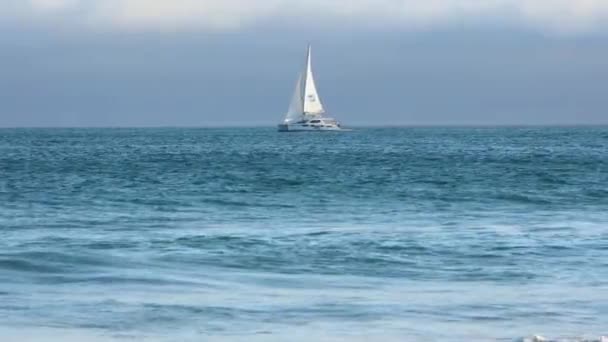 カタマランの遊覧船が真っ青な海をフルセーリングバックライトを反射して — ストック動画