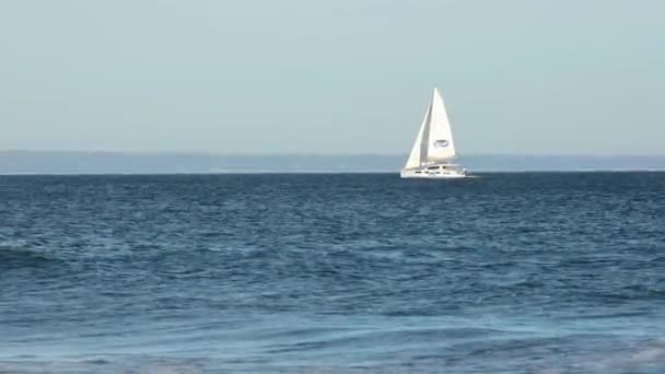 Slow Wide Shot Catamaran Sailing Peacefully Cascais — ストック動画