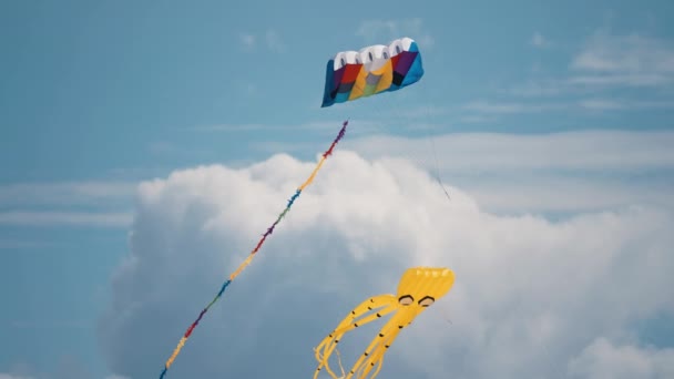 ローマの凧祭りで 空中に浮かぶ2つの明るい色の凧のクローズアップショット パンフォロー — ストック動画