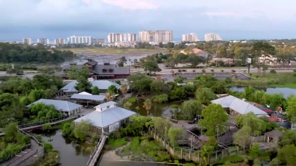 Aerial Pullout North Myrtle Beach Skyline — стоковое видео