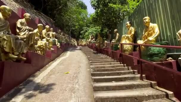 Estátuas Buda Ten Thousand Buddhas Monastery Fpv Filmagem — Vídeo de Stock