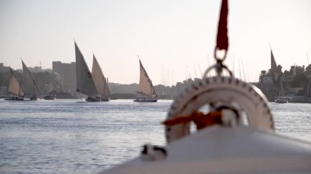 View Front Felucca Feluccas Sailing Backgroudn Golden Hour Nile River — Video Stock