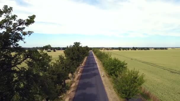 Slow Flight Narrow Road Street Trees Buttery Soft Aerial View — Vídeos de Stock