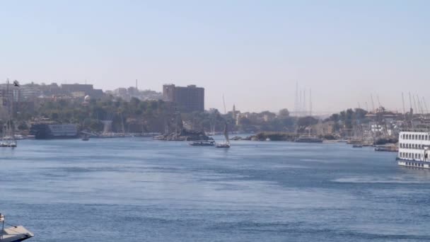 Birds Flying Nile River View River City Aswan Egypt — Stock video