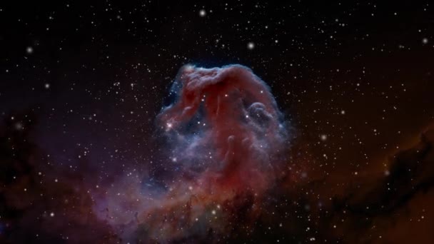 Fly Horsehead Nebula Constellation Orion Zooming Horsehead Nebula Wide Field — Stock video