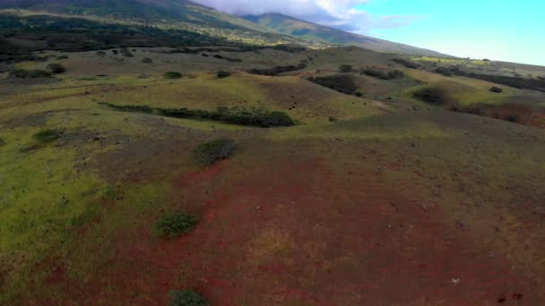 Condado Maui Cerca Reserva Forestal Kahikinui Hacia Interior Drone — Vídeo de stock