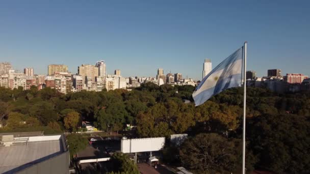 Dynamic Aerial Footage Raised Argentinian Flag While Waving Windy Day — 비디오