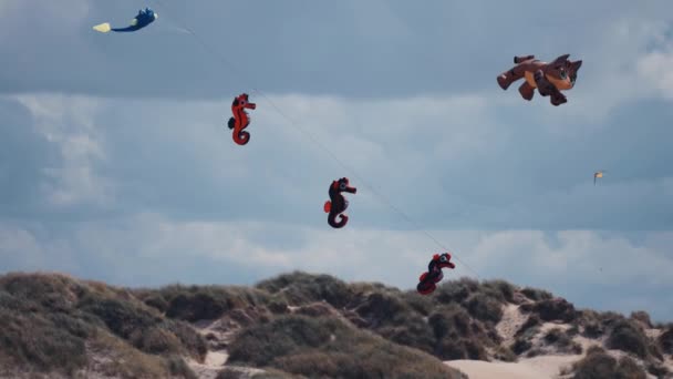 Close Shot Various Anima Shaped Kites Floating Air Romo Kite — Video