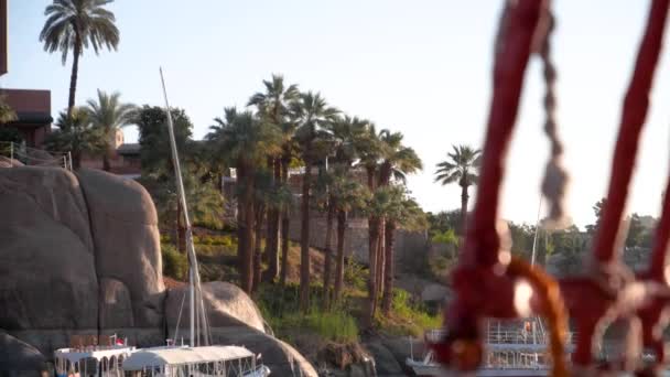 Palm Trees Nile River Traditional Boat Aswan Egypt — Wideo stockowe