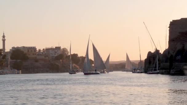 View Feluccas Sunset Sailing Nile River Aswan Egypt — Stock Video
