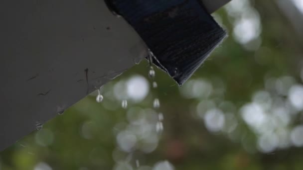Raindrops Falling Plastic Board Background Lush Vegetation Selective Focus — Stockvideo