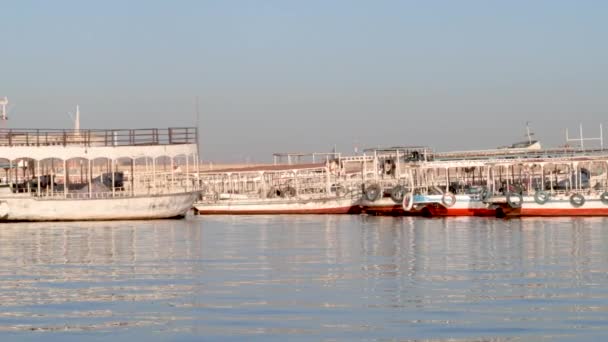 Traditional Boats Parked Nile River Aswan Egypt — Stockvideo