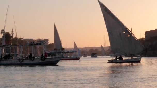 View Feluccas Traditional Boat Sunset Sailing Nile River Aswan Egypt — стокове відео
