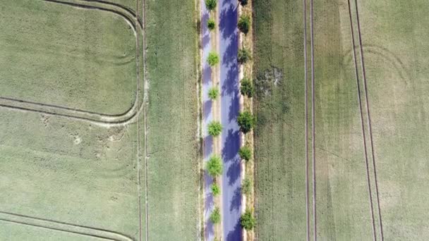 Car Small Country Road Alley Street Cornfields Wonderful Aerial View — 图库视频影像