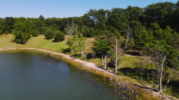 Aerial Motion Lake Nature — Vídeos de Stock