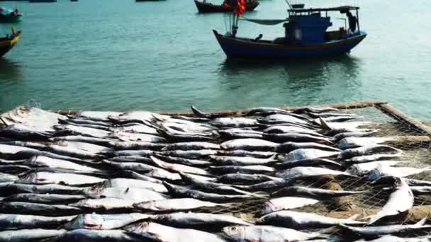 Fish Drying Net Sun Tens Boats Moored Close Shore Ocean — Vídeos de Stock