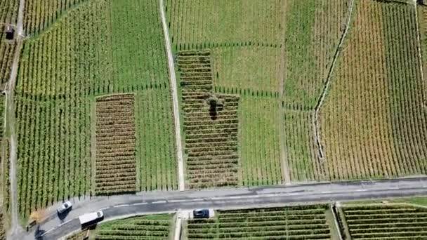 Tilt Lavaux Vineyards Cully Town Geneva Lake Vaud Switzerland Aerial — Stock video