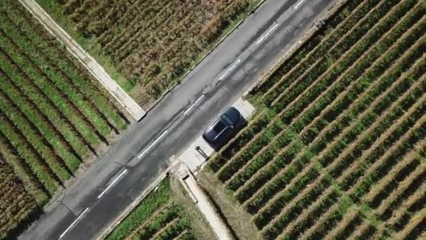 Top Shot Car Parked Next Road Lavaux Vineyards Vaud Switzerland — ストック動画