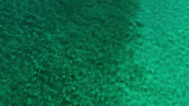 Tilt Shot Crystal Clear Sea Water Coral Reef Visible Cozumel — Vídeos de Stock