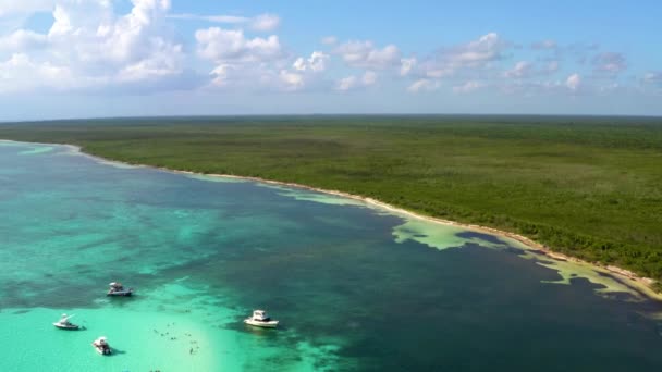 Légi Felvétel Gyönyörű Buja Zöld Növényzet Mentén Tengerparti Régió Cozumel — Stock videók