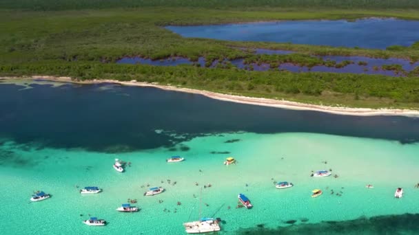 Aerial Drone Rotating Shot Tourists Snorkeling Diving Sea Water Coastal — Vídeos de Stock