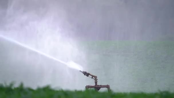 Irrigation Sprinkler System Green Field Watering Crop Pullback Slow Motion — Vídeo de Stock