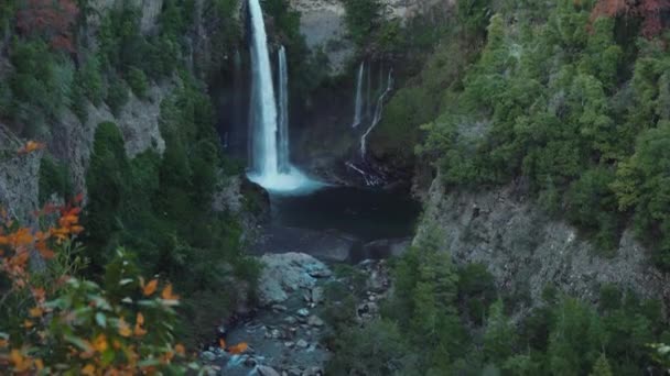 Establishing Shot Cascade Rocks Vegetation National Park Chile — Stock videók