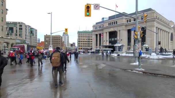 Protesta Contra Las Vacunas Obligatorias Canadá Convoy Libertad Con Banderas — Vídeos de Stock