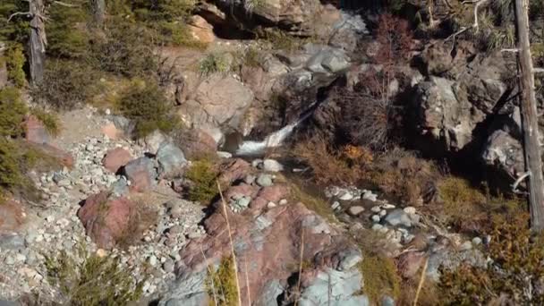 View Small Jump Claro River Radal Tazas National Park Chile — Stock videók