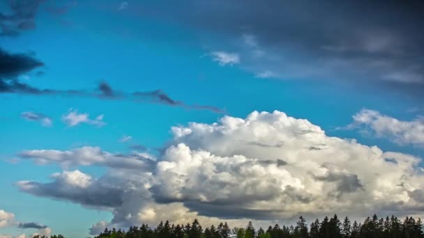 Timelapse Shot Huge Cumulus Cloud Movement Daylight Blue Sky Green — Stock videók