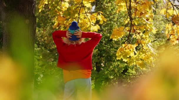 Young Woman Red Sweater Blue Hat Standing Forest Autumn Back — Video Stock