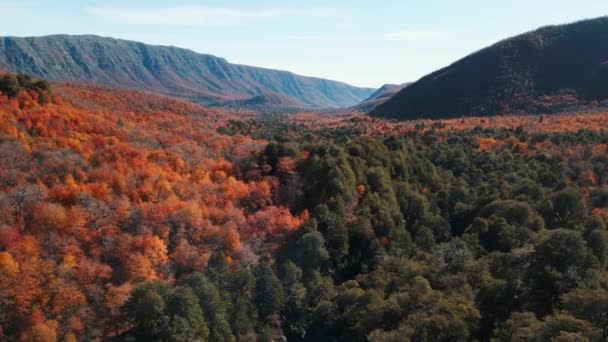 Aerial View Radal Tazas National Park Vegetation Mountains — Vídeo de stock