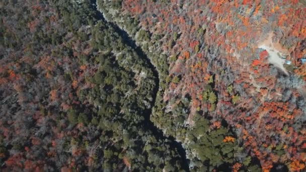 Aerial View Radal Tazas Three Color Vegetation Autumn Season Chile — Stock videók