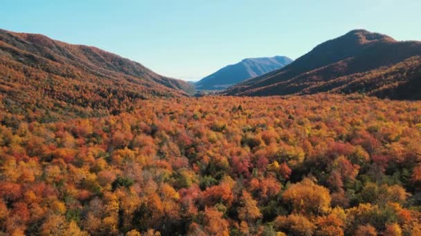 Aerial View Nature Landscape Mountains Vegetation Autumn Colors Chile — Vídeo de stock