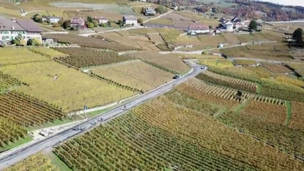 Road Cyclists Lavaux Vineyards Drone View Vaud Switzerland — Stock videók