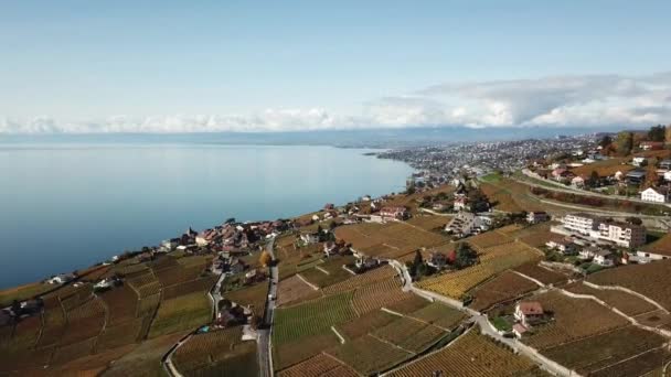 Panoramautsikt Leman Sjøen Lavaux Vingårdene Høsten Dronesikt Vaud Sveits – stockvideo