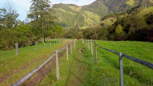 Pov Shot Grass Pathway Foothills Lush Green Vegetation Covering Mountain — Stock Video