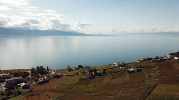 Drone View Leman Lake Switzerland Lavaux Vineyards — Stock Video