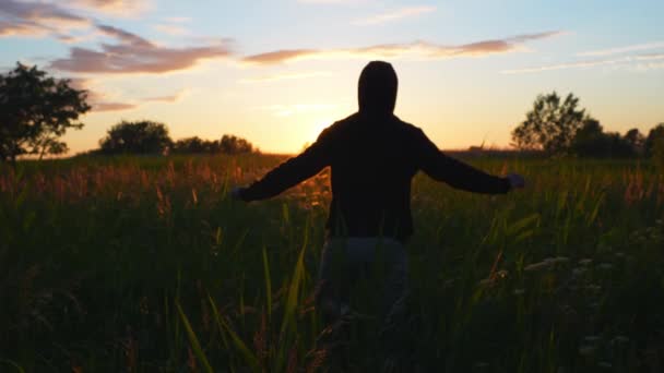 Aventura Verano Cálida Noche Campo Trigo Colores Del Atardecer Cielo — Vídeos de Stock