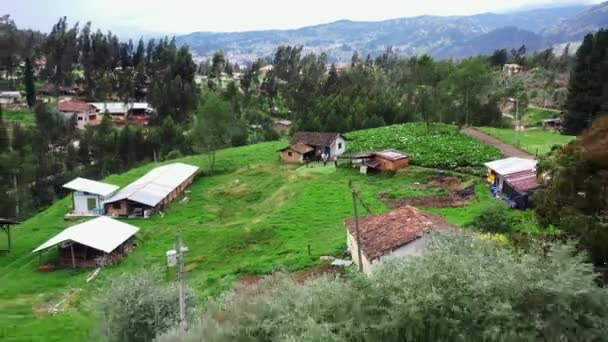 Farmhouse Mountain Hill Hydrangea Flower Field Aerial Pullback — Stok video