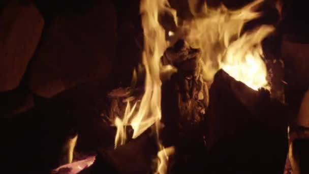 Sluit Het Vuur Kampvuur Vlammen Nachttijd — Stockvideo