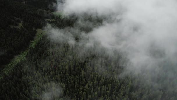 Clouds Rolling Mountains Forest — Video Stock
