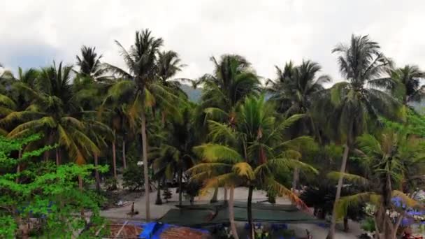Воздушное Поднятие Вид Пальм Зеленой Растительности Рядом Берегом Пляжа Остров — стоковое видео