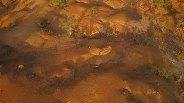 Drone Voando Baixo Sobre Parte Arenosa Prados Com Densa Densidade — Vídeo de Stock