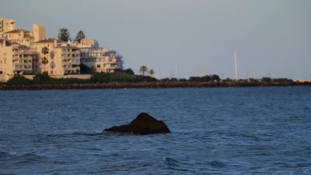 Waves Hitting Rock Water Estepona Spain Slow Motion — 图库视频影像