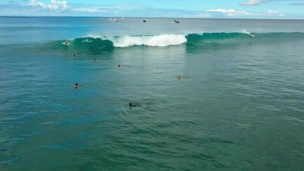 Aerial View Bodysurfer Riding Wave Point Panic Oahu Hawaii — Stock video