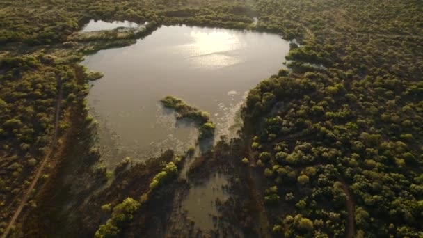 Aerial Mother Nature Showing Natural Lake Middle Dense Green Forest — Stockvideo